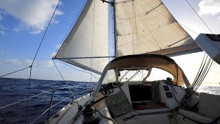 Traversée de VIVE LA VIE Cap Vert - Brésil