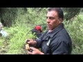 HONGOS COMESTIBLES DE SAN MIGUEL CANOA 3