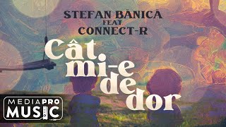 Stefan Banica Feat. Connect-R - Cat Mi-E De Dor (Lyric Video)