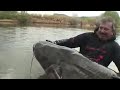 image Ikan Lele Raksasa Monster Lele Raksasa Mancing Mania Terbesar Didunia Terbaru
