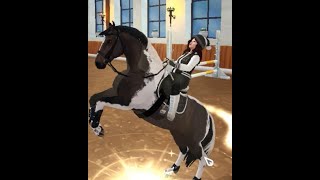 Maxing My New Dutch Warmblood Darkdancer Sso