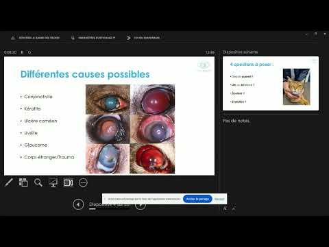 Yeux rouges que faire en première intention