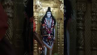 Nilkanthvarni Aarti Darshan