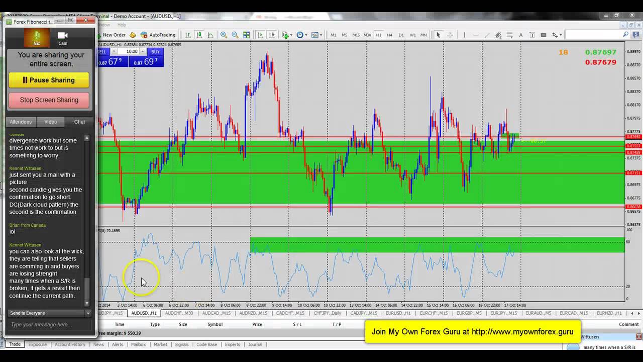 Forex live trading youtube