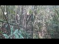 HAV 動画24a