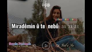 Seyda Perinçek - Xuna canê min sar nebû #seydaperincek