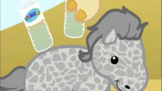 Watch Webkinz I Wanna Run video