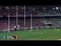 hawthorn