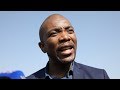 ‘Taxpayers being milked, not the cows’: Maimane visits Gupta-linked dairy farm