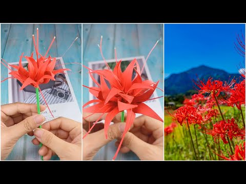 Cách gấp Hoa Bỉ Ngạn bằng giấy siêu đẹp, đơn giản, trang trí | origami (#44)