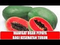 INI DIA !!! MANFAAT Buah PEPAYA Untuk KESEHATAN Tubuh INI DIA !!! MANFAAT Buah PEPAYA Untuk KESEHATAN Tubuh