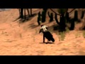 Secondlife Movie Tl Video Q Customs Crf