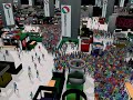 crowds