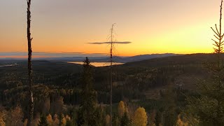 Lähiluonnon ihmettelyä