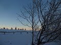 ❄️Kind immer noch krank❄️Winter Wonderland im Taunus❄️Vlog❄️