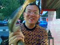 Ular King Cobra Sebelum Di Potong 15 11 2012 Lanjutannya images Ular King Cobra Sebelum Di Potong 15 11 2012 Lanjutannya