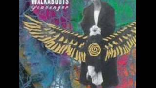 Watch Walkabouts Train To Mercy video