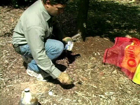 how to make a homemade raccoon trap