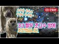 인피쉰🌿 ㅣPㅣ【 3:3 빨무 초고수 방에 조인했습니다 】 이젠 고수방 클라스도 이정도까지.. 힘들다 힘들어 《2018-09-20 목요일》