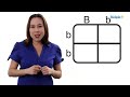 squares