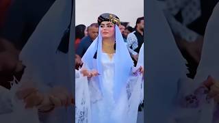 Halay Dabke Dance Bravionuniversezera