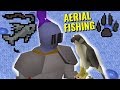 🦅🐟🎣 NEW AERIAL FISHING 🎣🐟🦅 (XP Rates & Quick Guide)