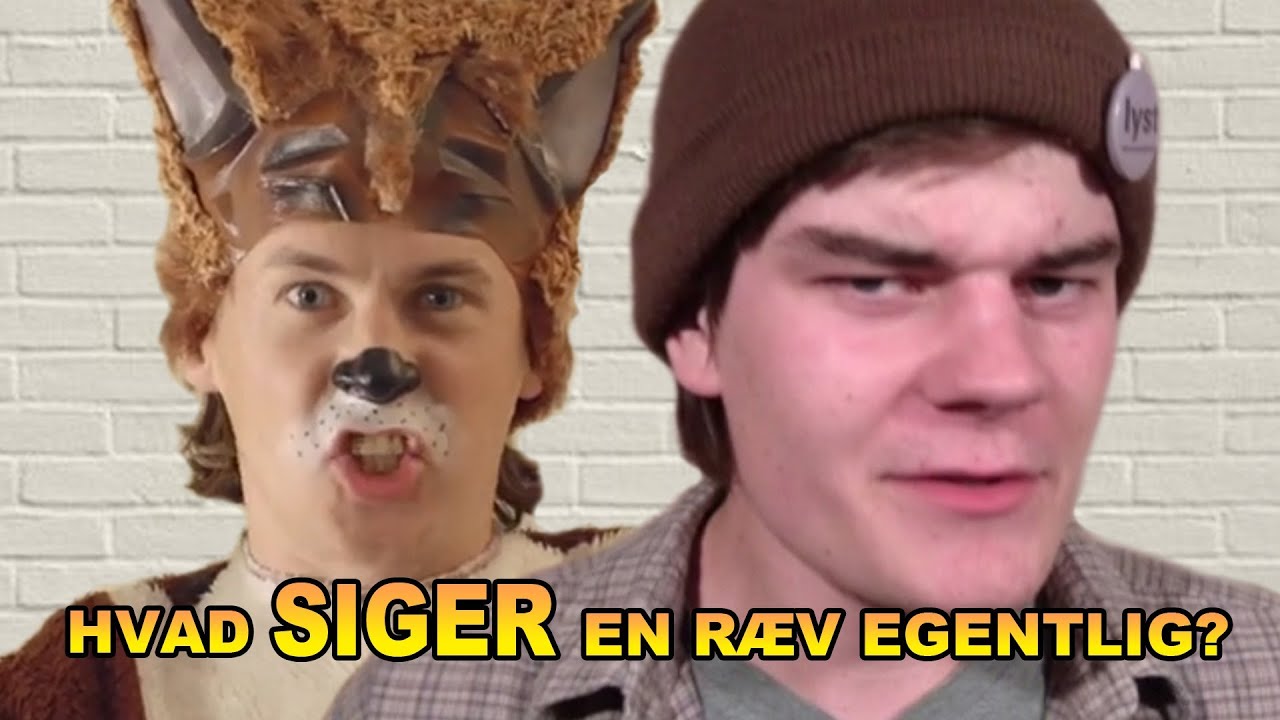 hvad siger www sexaben hvad siger www sexaben
