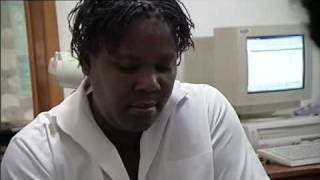 Haiti Congenital Syphilis On The Way Out