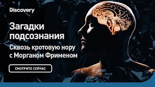 Загадки Подсознания | Сквозь Кротовую Нору С Морганом Фрименом | Discovery