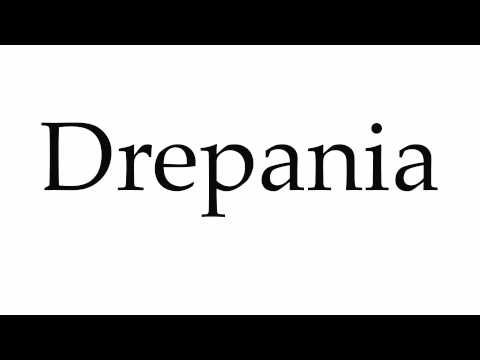 Header of drepania