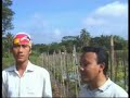 image Resep Tambak Udang Galah 1 Sleman Yogyakarta