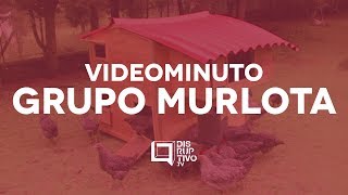 Todos los videos