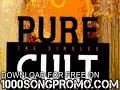 the cult - Spiritwalker - Pure Cult-The Singles 1984-199