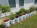 gardening