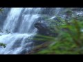 Relaxing Music Therapy - Relaxing Nature Scenes - Relaxing Music - Nature Scenes