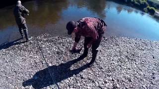 Рыбалка на Камчатке — видео