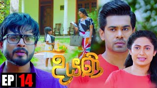Diyani | Episode 14 01st May 2022