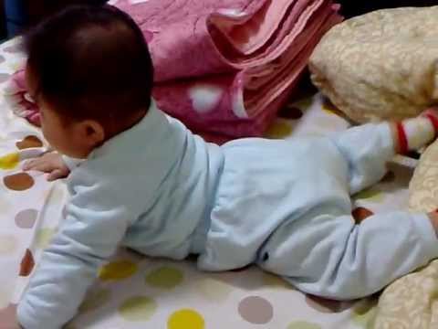 小豬示範狗公腰 :: VideoLike