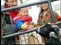 Farm Sanctuary: Twenty Years of Rescue, Education and Advocacy for Farm Animals