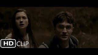 Fight At The Burrow Harry Potter And The Half-Blood Prince