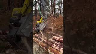 How Does The H425 Process With The 1270G Harvester #Johndeere #Harvester #Tree #Trending #Viral