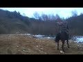 Стрельба верхом с лошади #4 Стрельба верхом с лошади #4