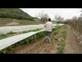 Angel Valley Organic Farm: Central Texas Gardener