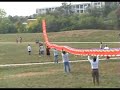 kite