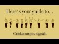Cricket Umpire Signals