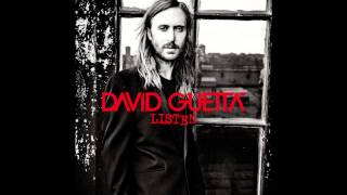 Watch David Guetta Rise feat Skylar Grey video