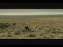 Online Movie Wolf Creek (2005) Free Stream Movie