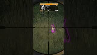Thehunter Call Of The Wild Karışık Av Serisi