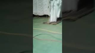 7 ऑगसट, 2018