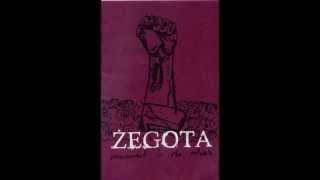 Watch Zegota Bike Song video